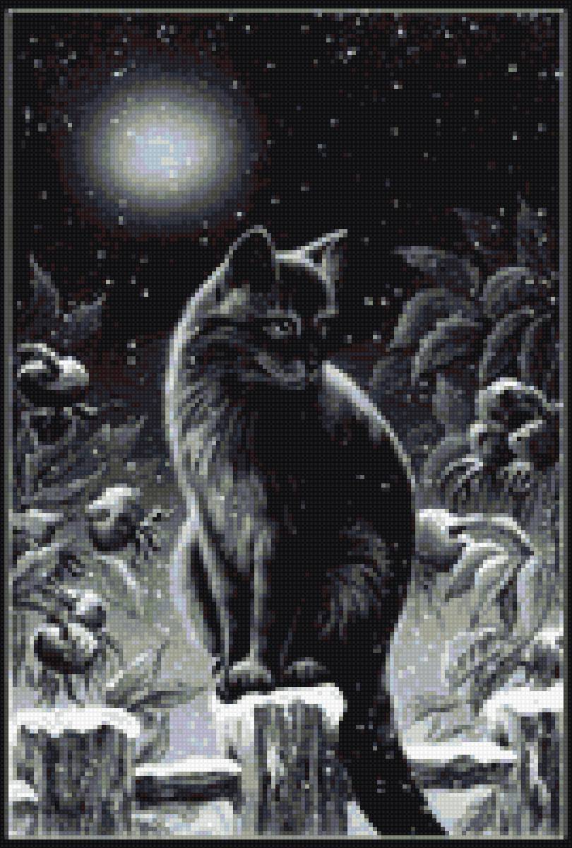 Черный кот 2 - черный, кот, зима - предпросмотр