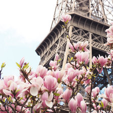 Схема вышивки «Весна в Париже»