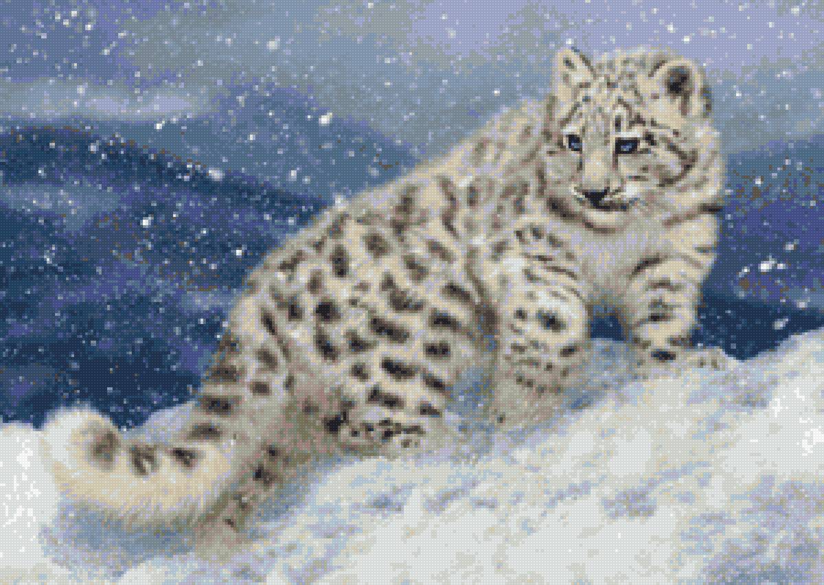 Барсик под снегом - зима, барс, ирбис - предпросмотр