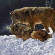 Схема вышивки «Волки»