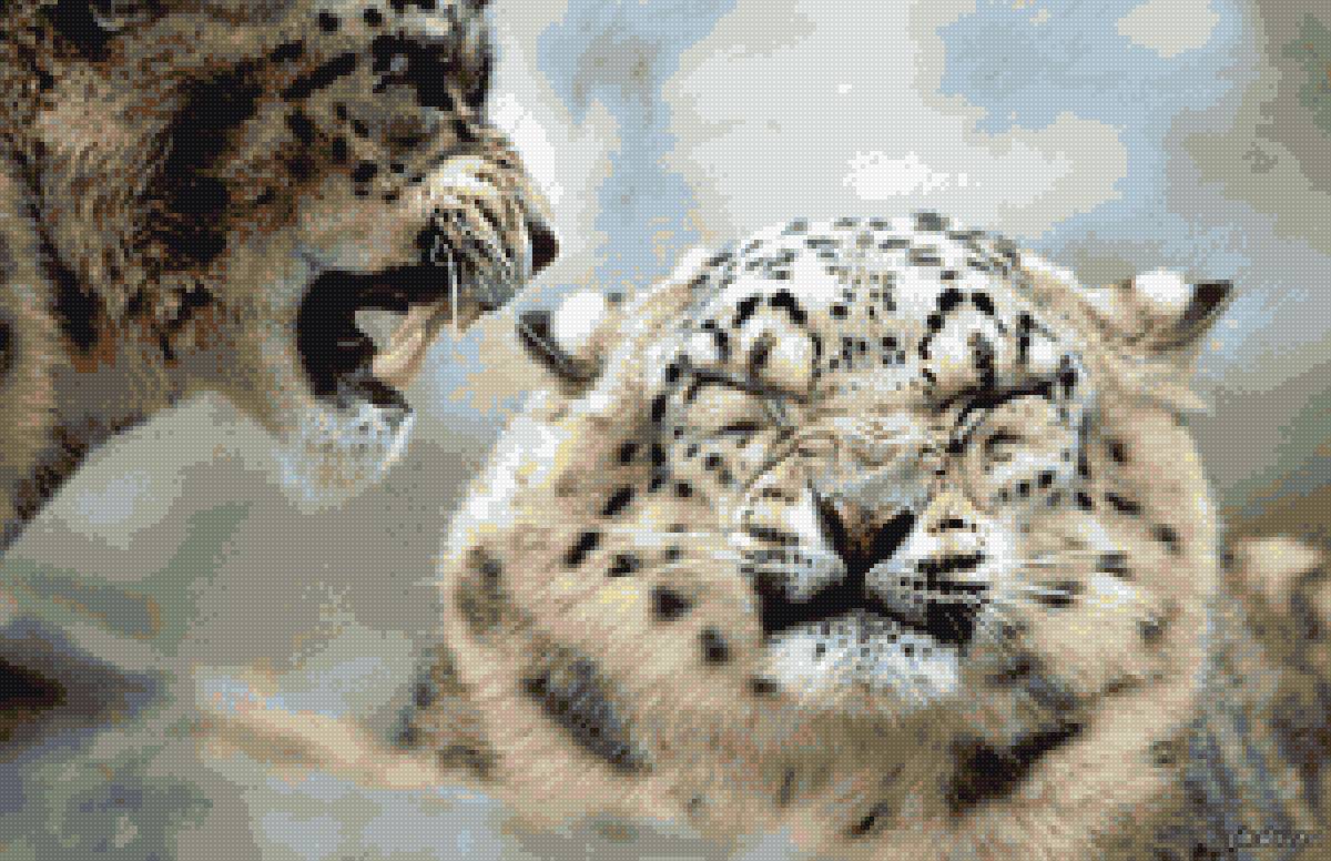 Молчать! - ирбис, барс - предпросмотр