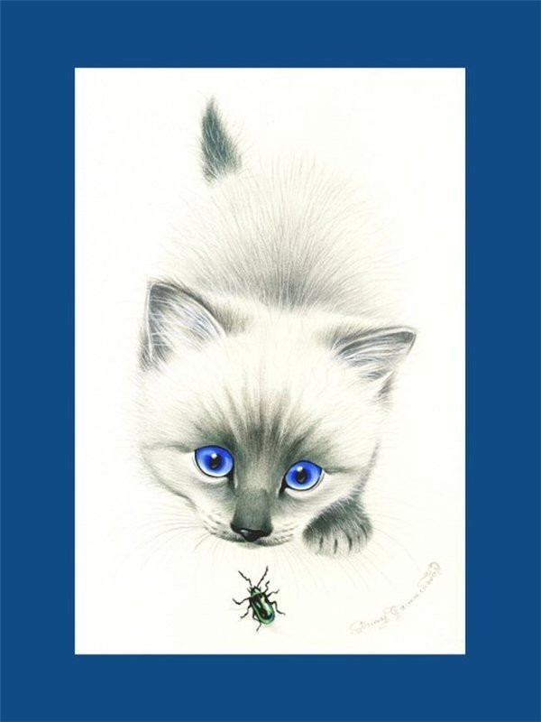 котёнок - оригинал