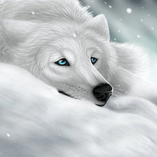 Схема вышивки «белый волк»