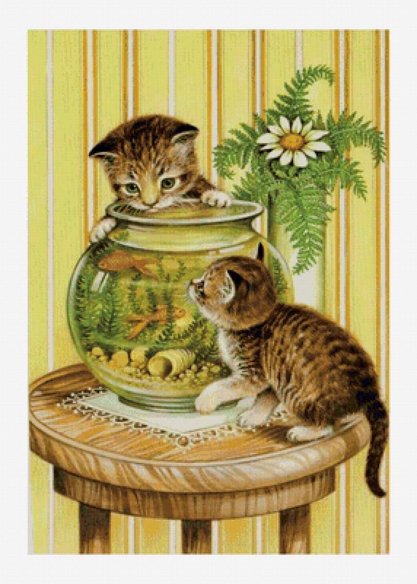 Котята и аквариум - рыбки, аквариум, коты - предпросмотр