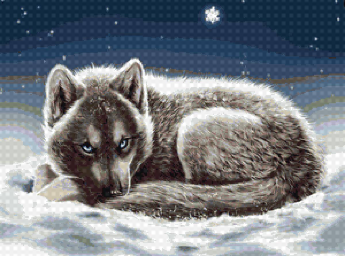 Волчонок - волк, ночь, зима - предпросмотр