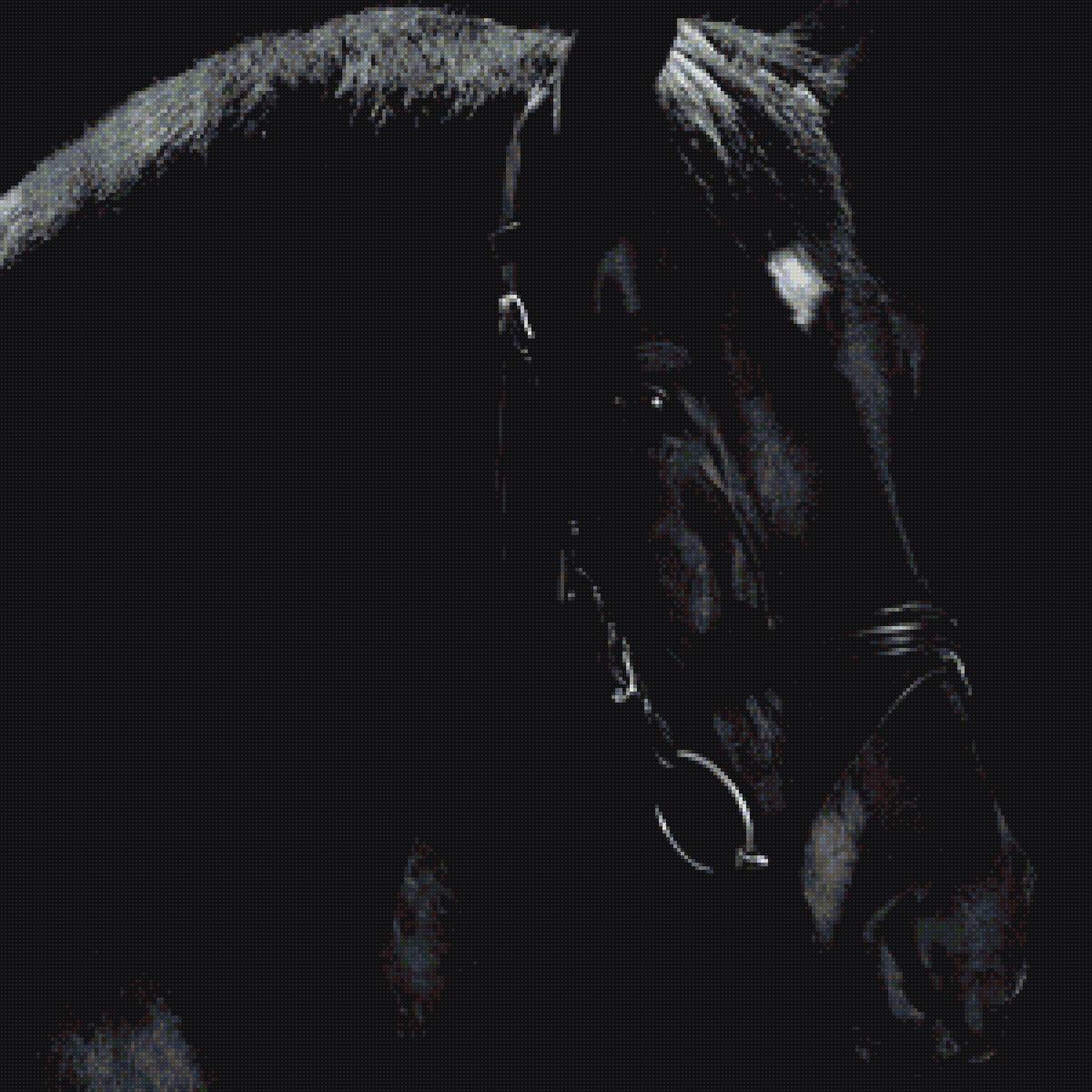 Черная лошадь 3 - лошадь, черная - предпросмотр