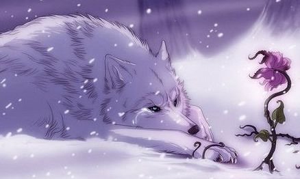 Белый волк - волки, зима, белый - оригинал