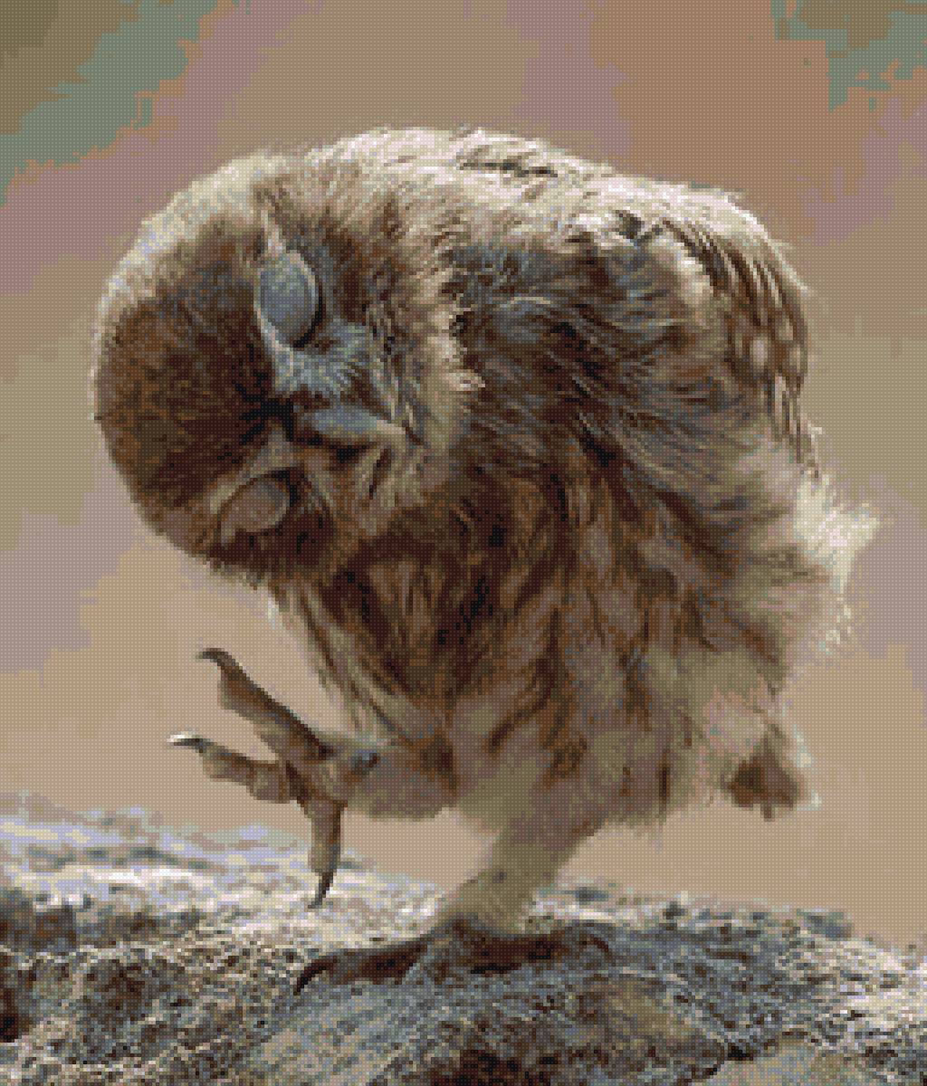 Совенок 2 - сова - предпросмотр