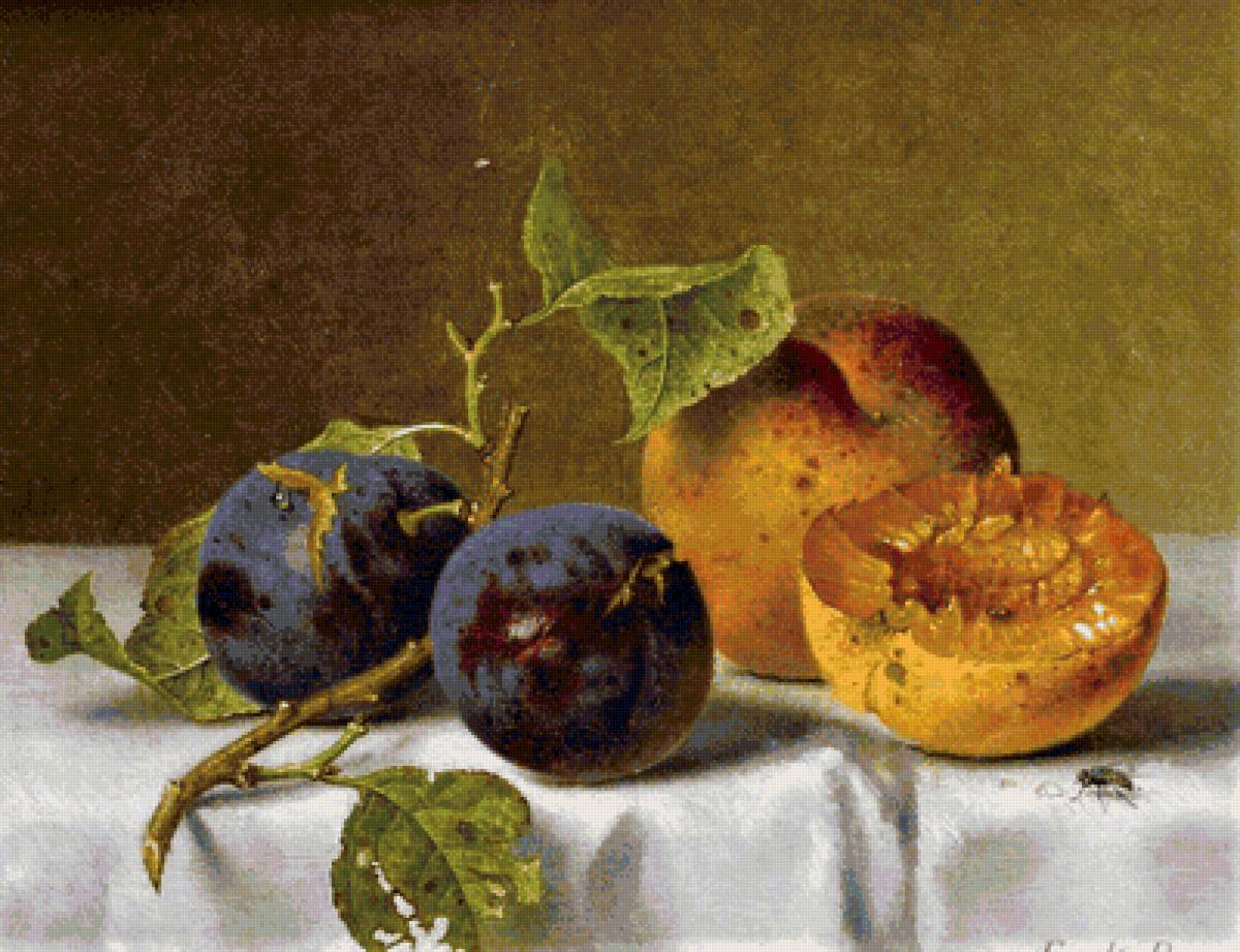 натюрморт - сливы персики - предпросмотр