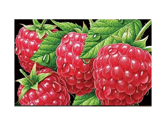 Малина - ягоды - оригинал