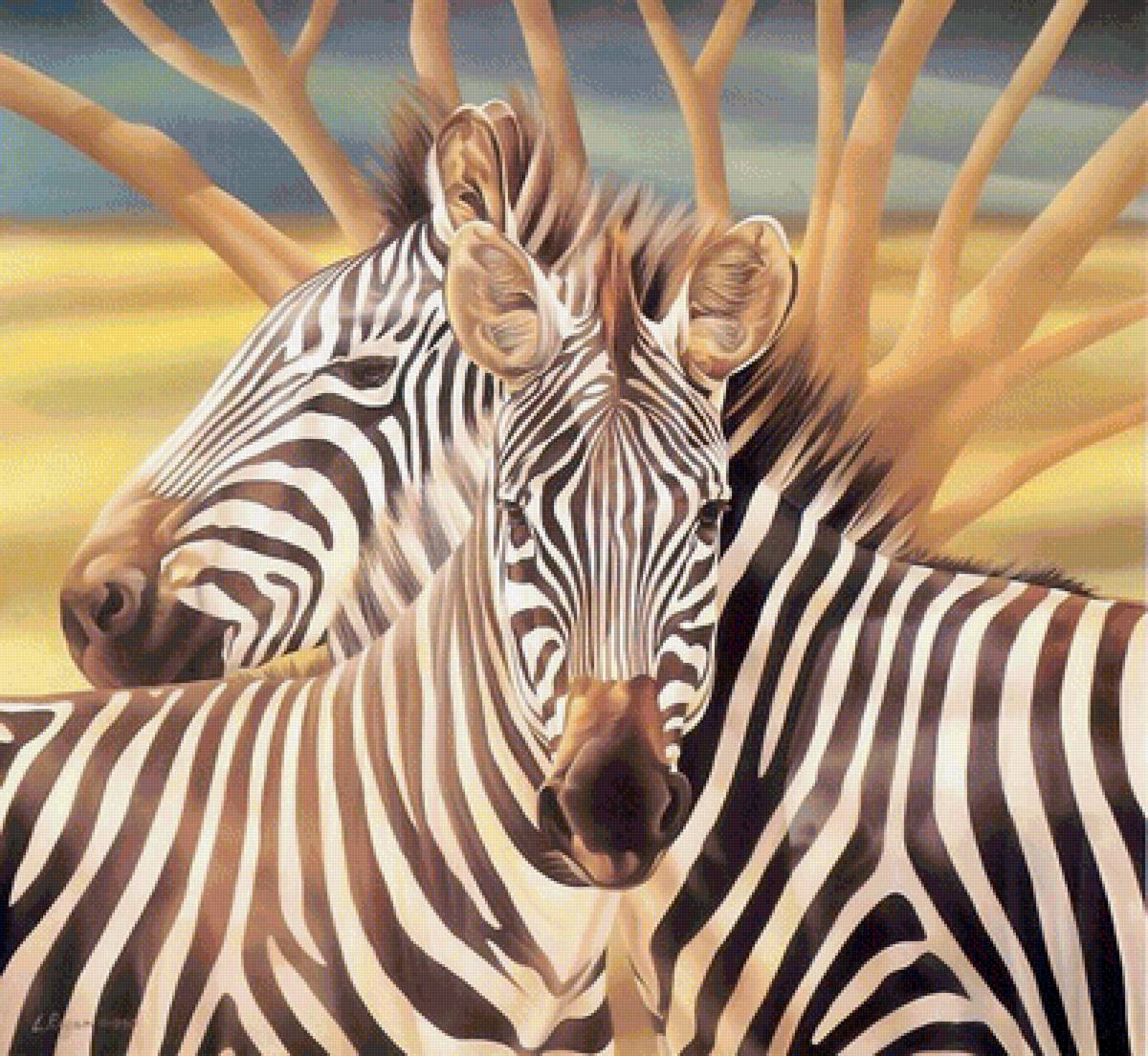 Мир животных - пара, животное, лето, зебры, африка, зебра, арт, саванна - предпросмотр