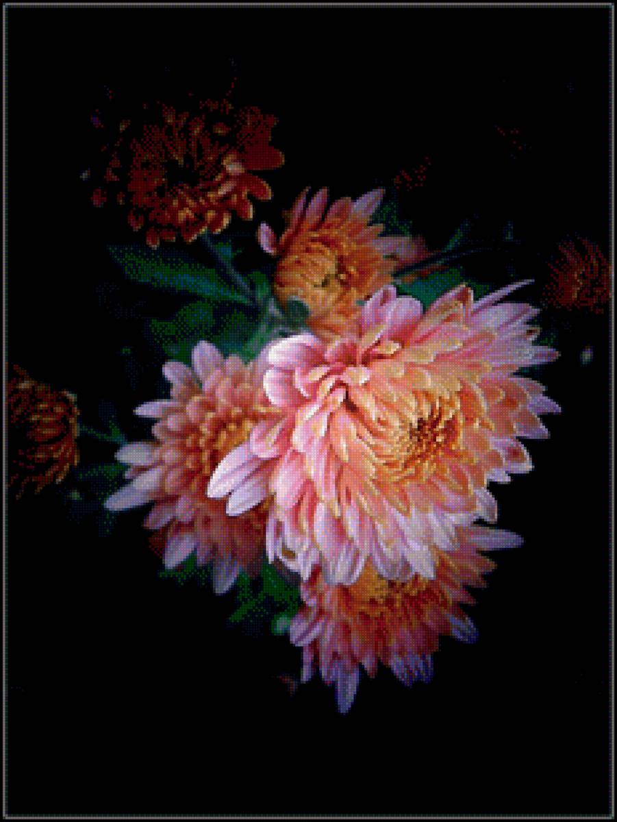 георгины - цветы - предпросмотр