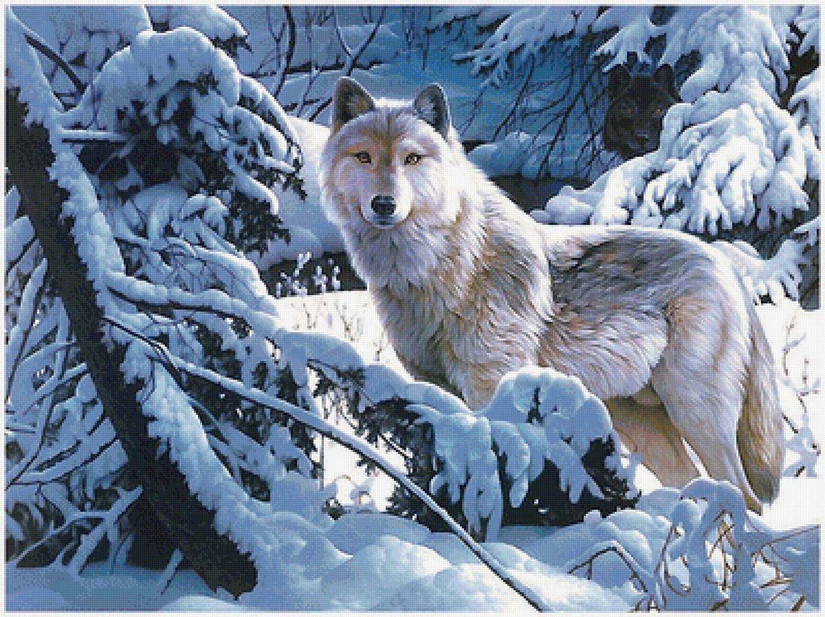 волки - предпросмотр