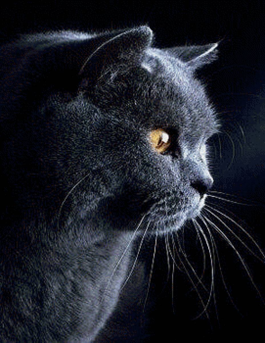 306 - предпросмотр