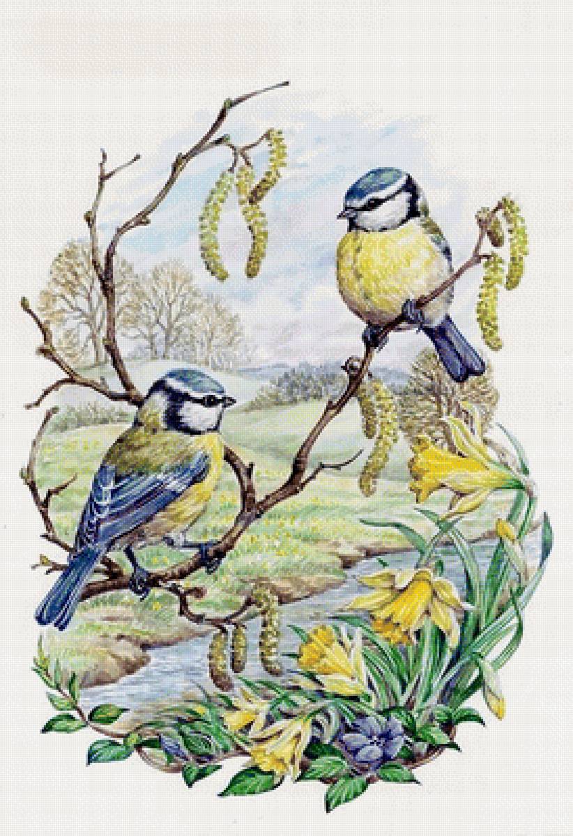 №1714094 - птицы - предпросмотр