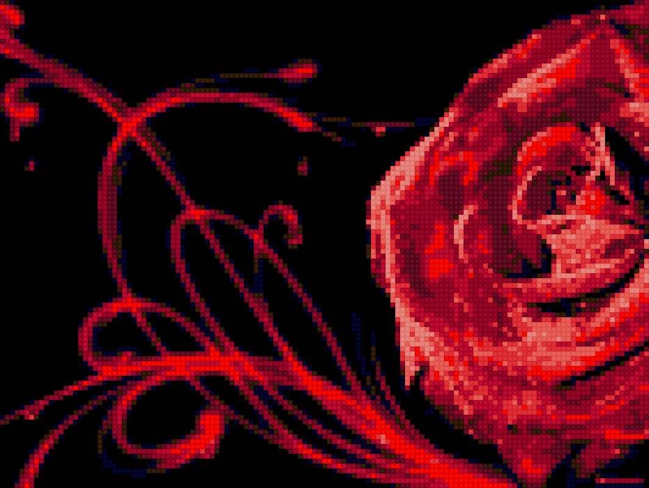 роза - цветы - предпросмотр