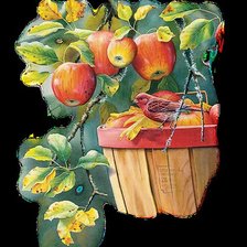 Схема вышивки «яблочки»