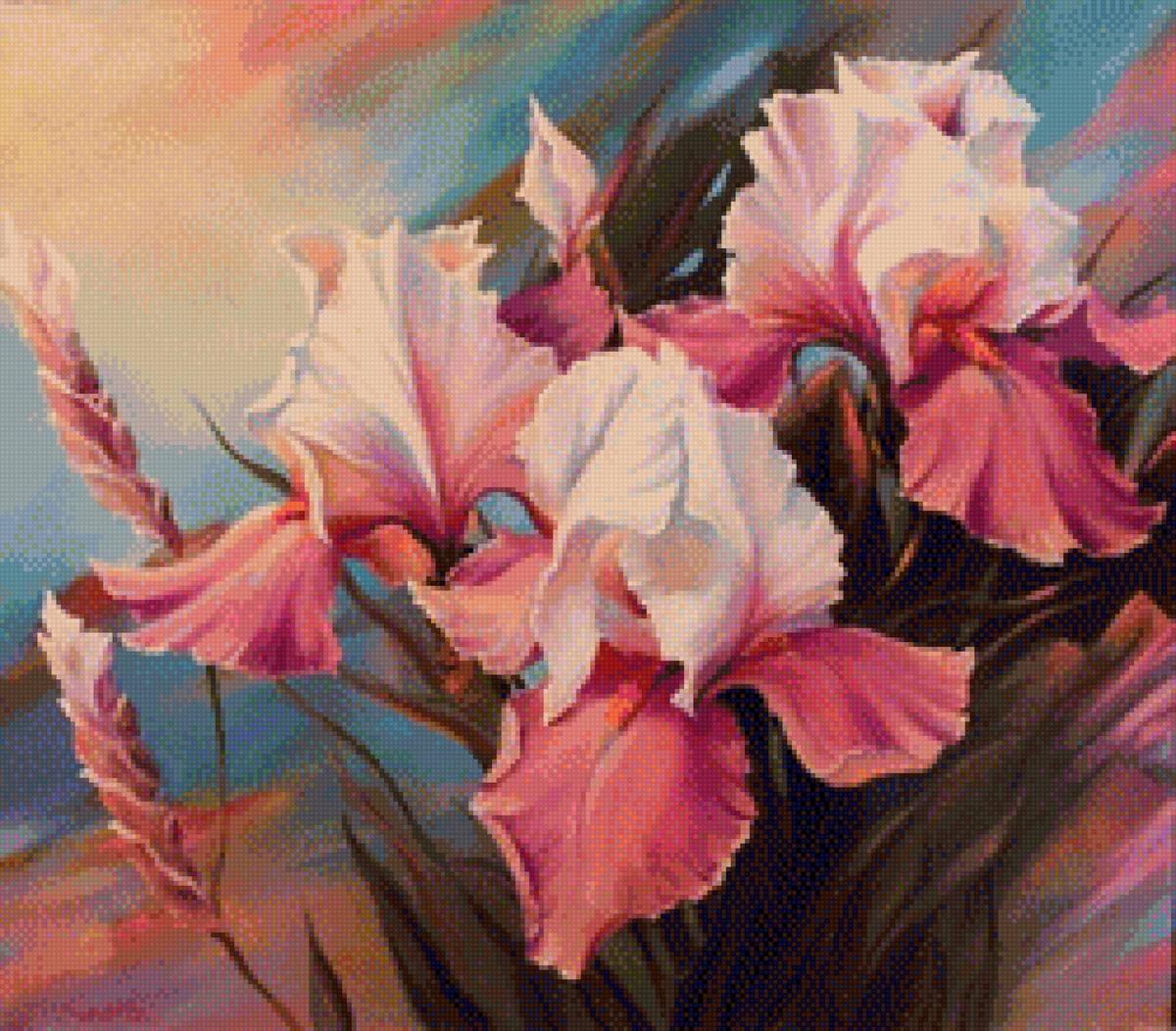 розовые ирисы - букеты, цветы - предпросмотр