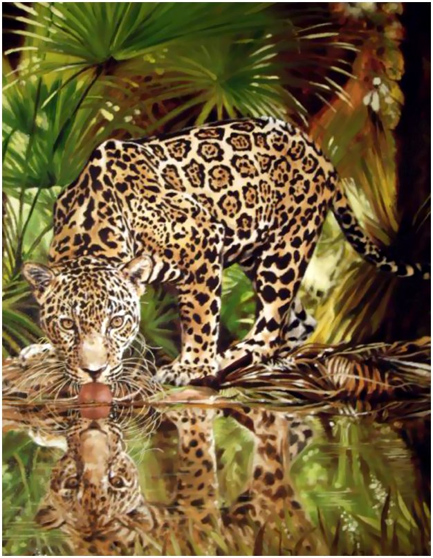 №1714512 - дикие животные - оригинал