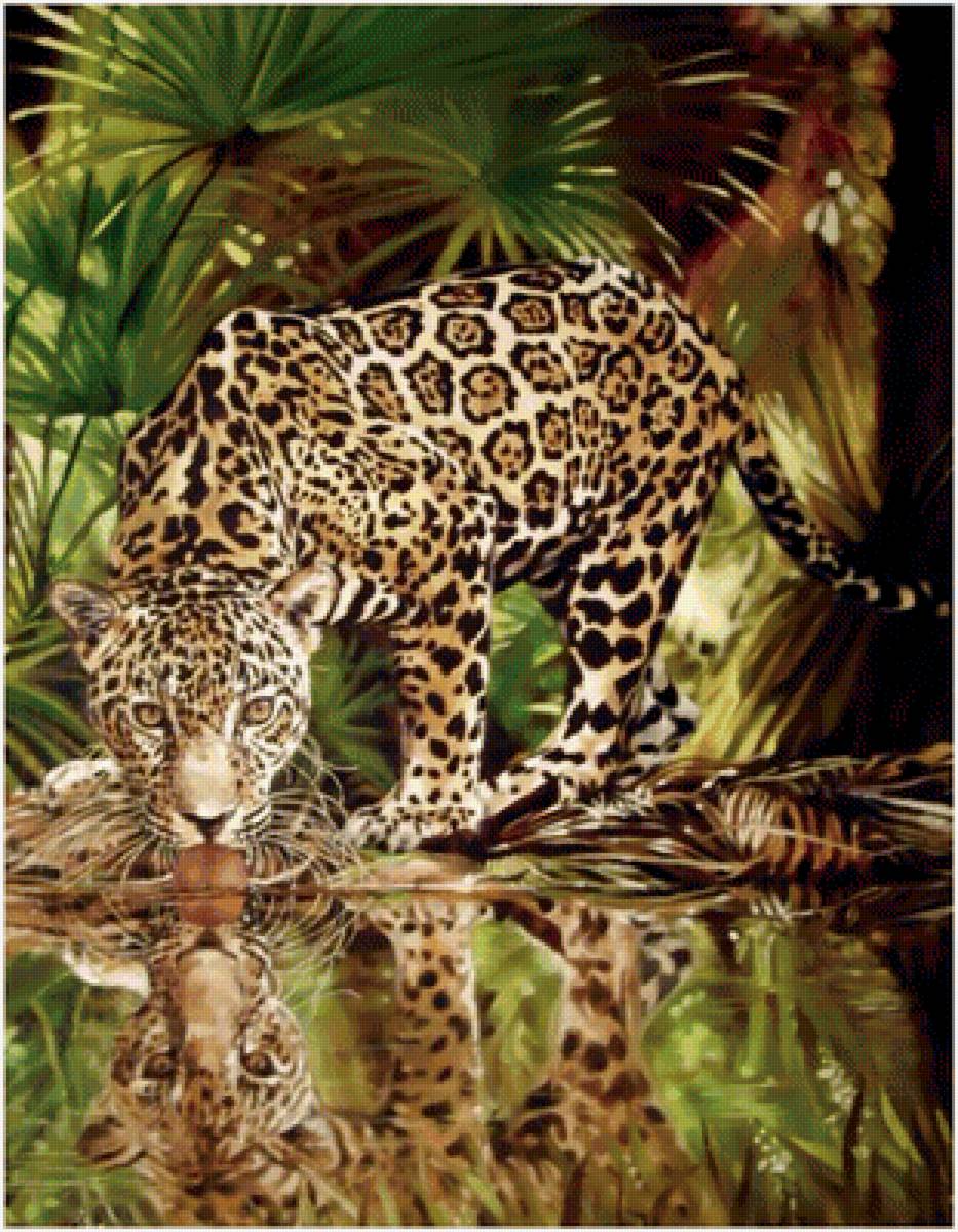 №1714512 - дикие животные - предпросмотр