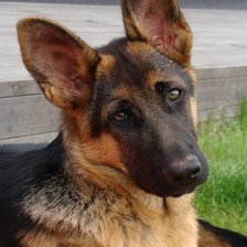 Схема вышивки «312»