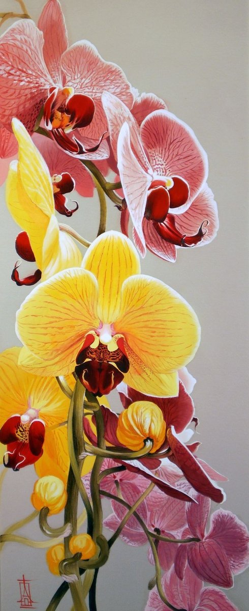 орхидея - цветы - оригинал