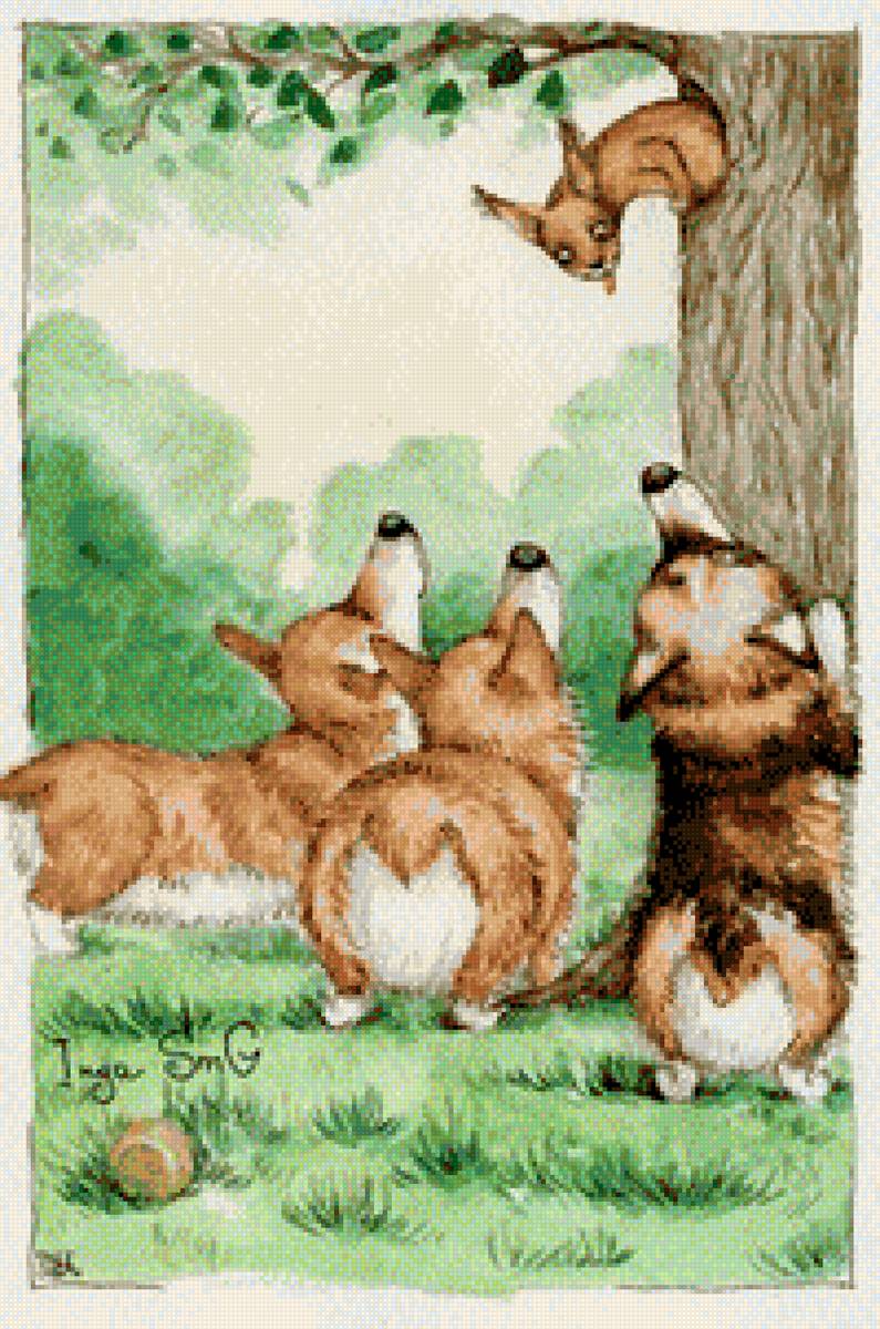 Corgis - предпросмотр