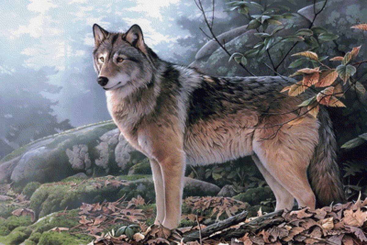 №1715809 - дикие животные - предпросмотр