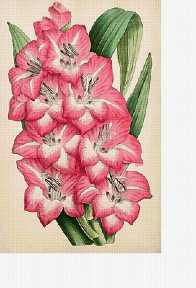 №1716320 - предпросмотр