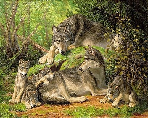 волки в лесу - животные, природа, пейзаж - оригинал