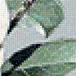 Предпросмотр схемы вышивки «№1716559»