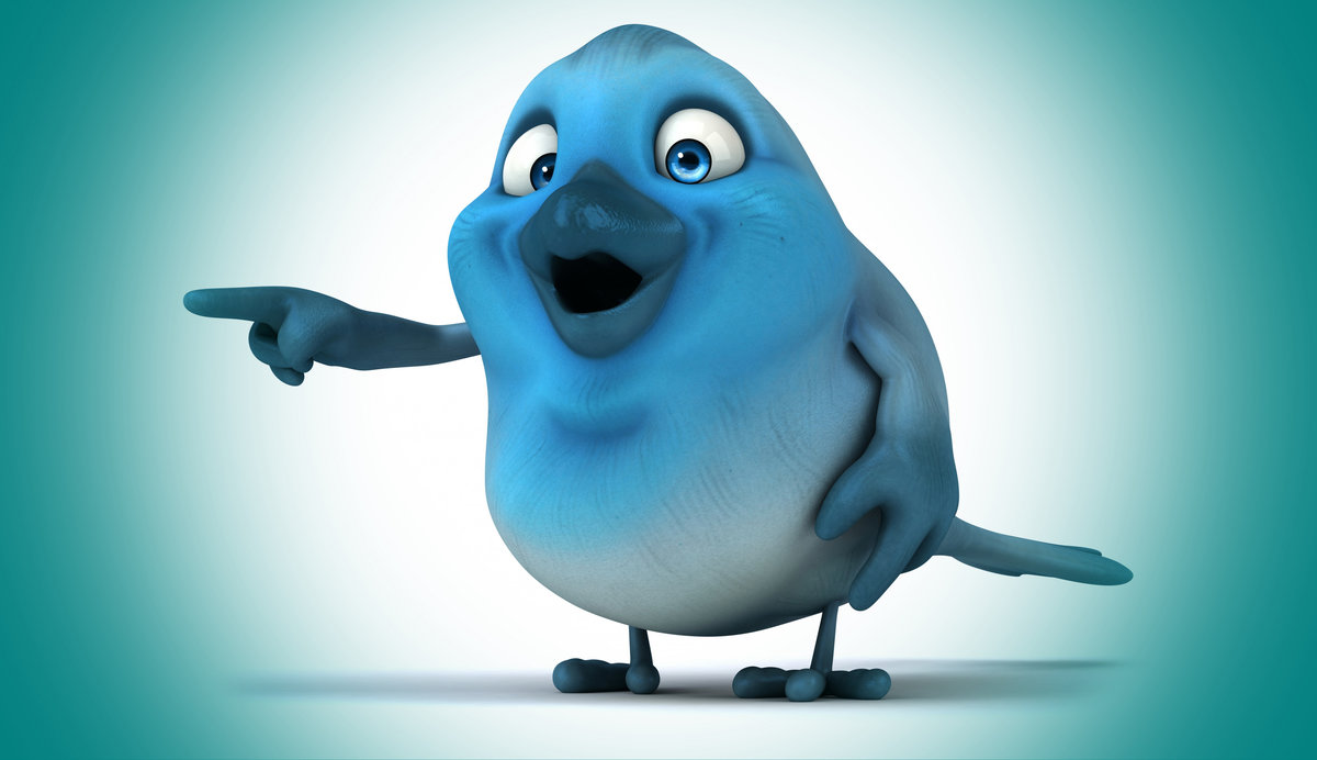 птичка - оригинал