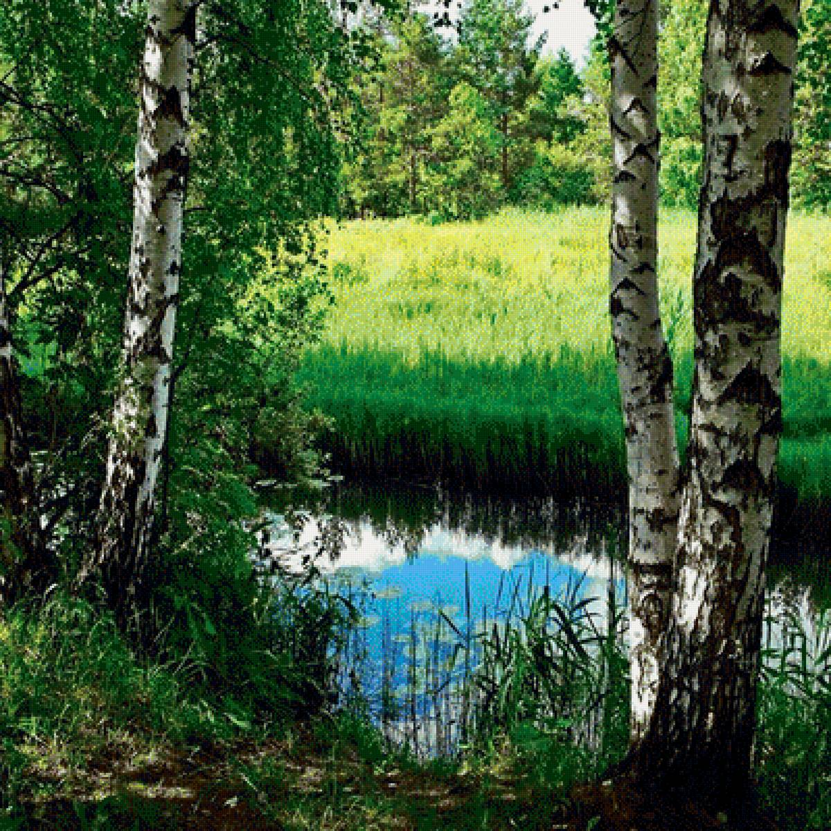 319 - предпросмотр