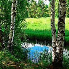 Схема вышивки «319»