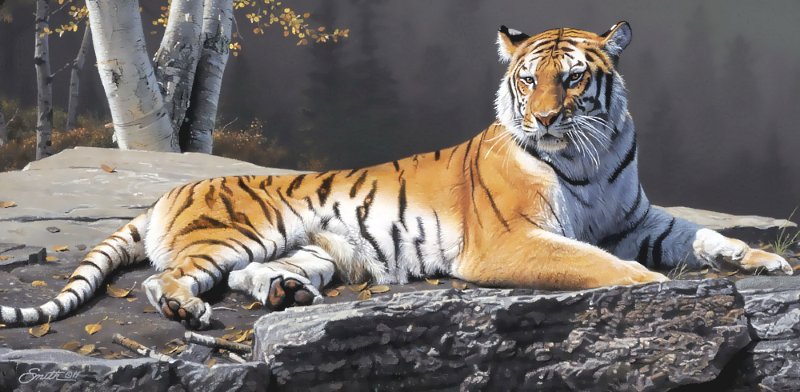 №1717578 - дикие животные - оригинал