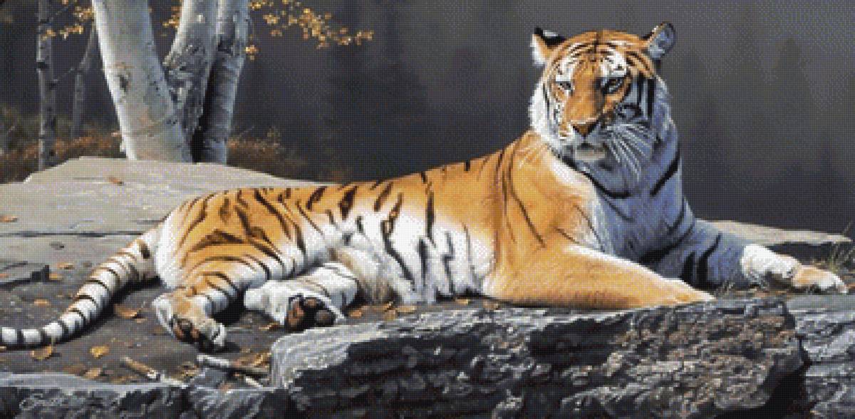 №1717578 - дикие животные - предпросмотр