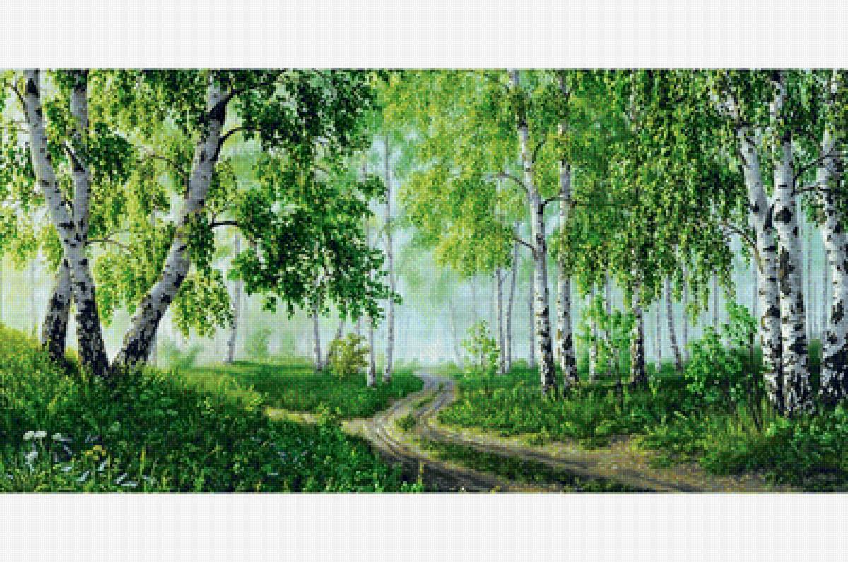 Березовая роща - березы, пейзаж, тропинка - предпросмотр