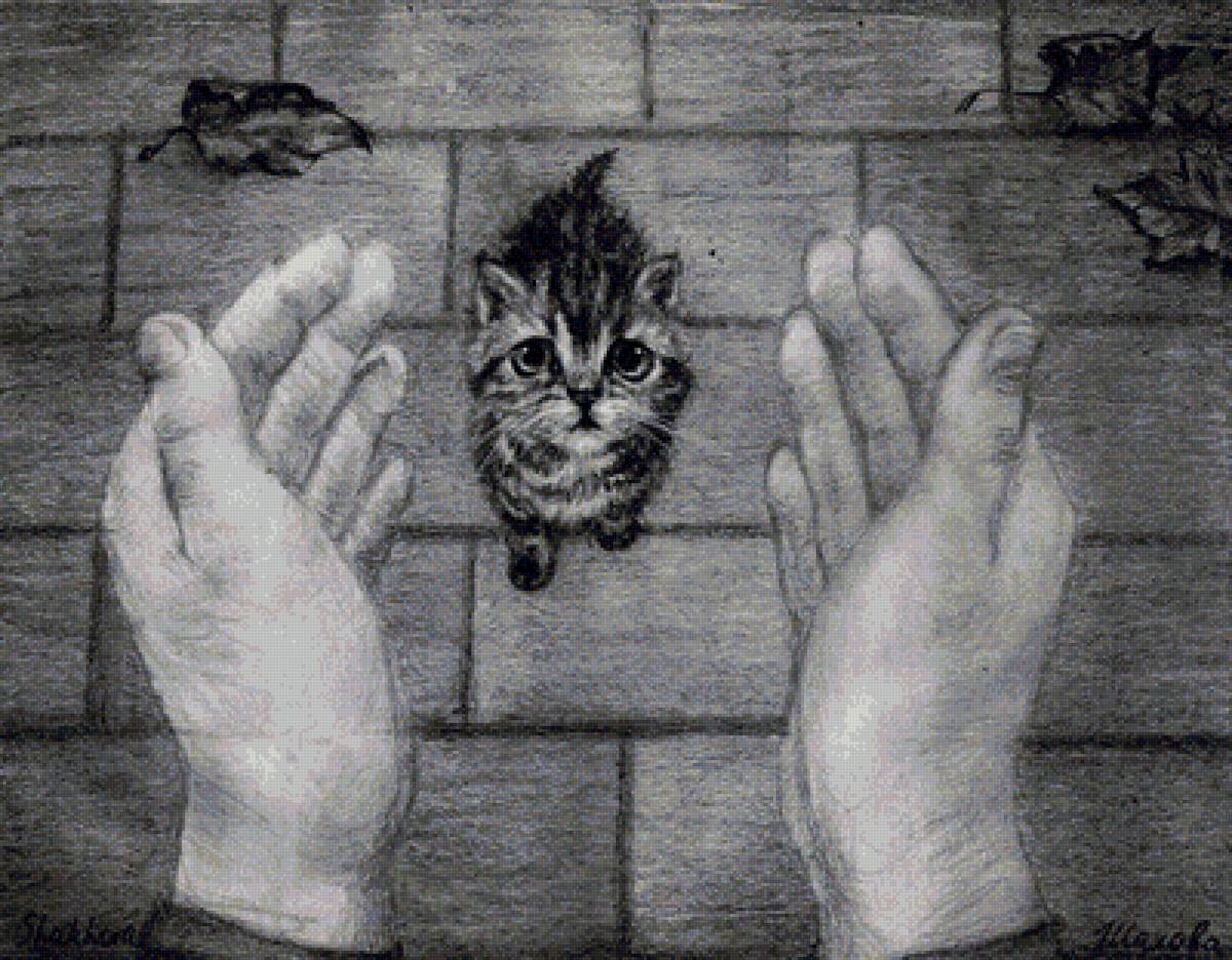 №1717753 - предпросмотр