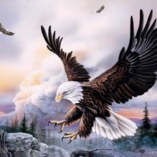 Схема вышивки «полет»