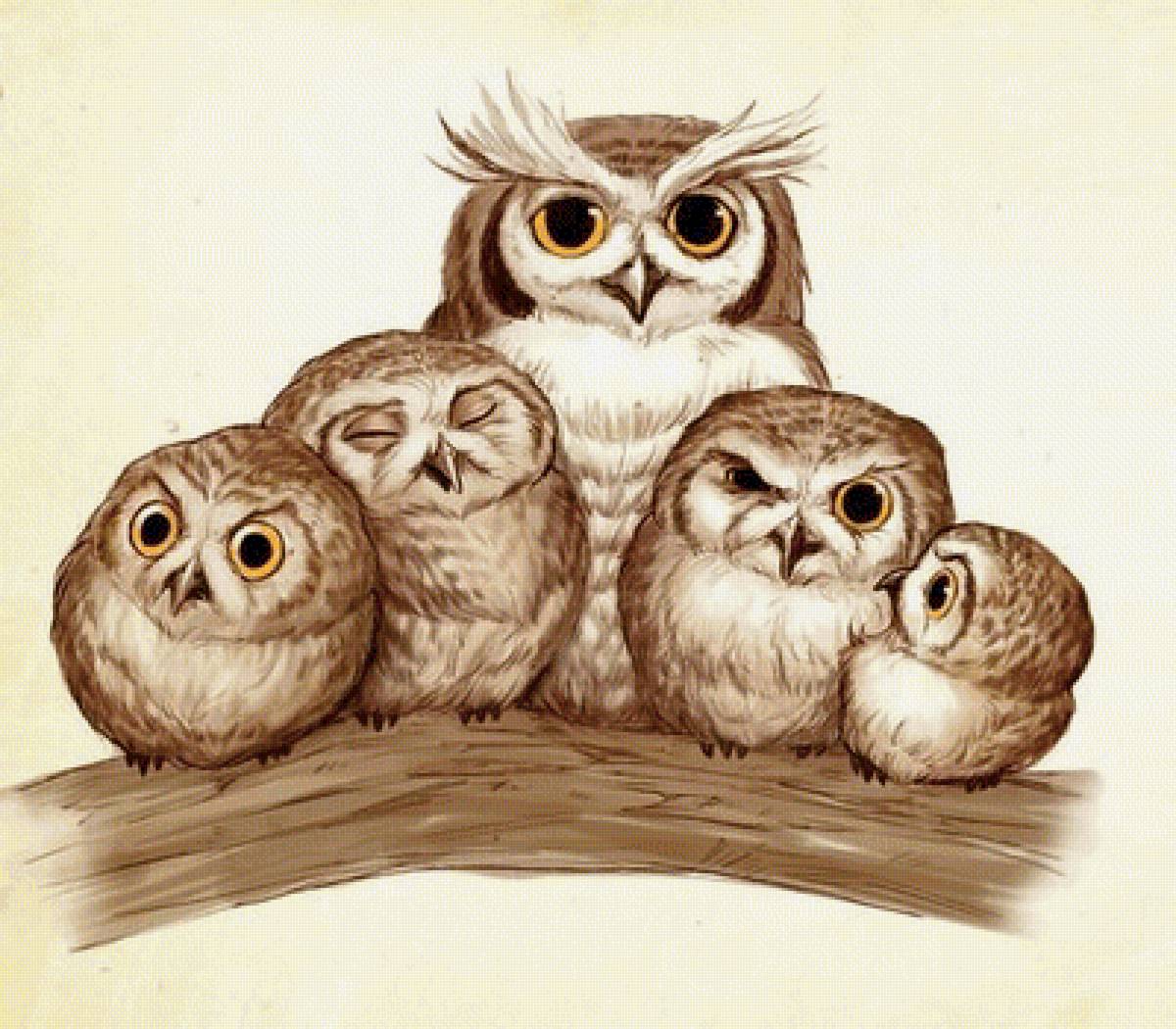 Мир птиц - совы, птицы, семья, сова - предпросмотр