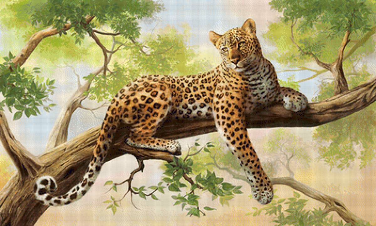 Леопард - звери, животные - предпросмотр