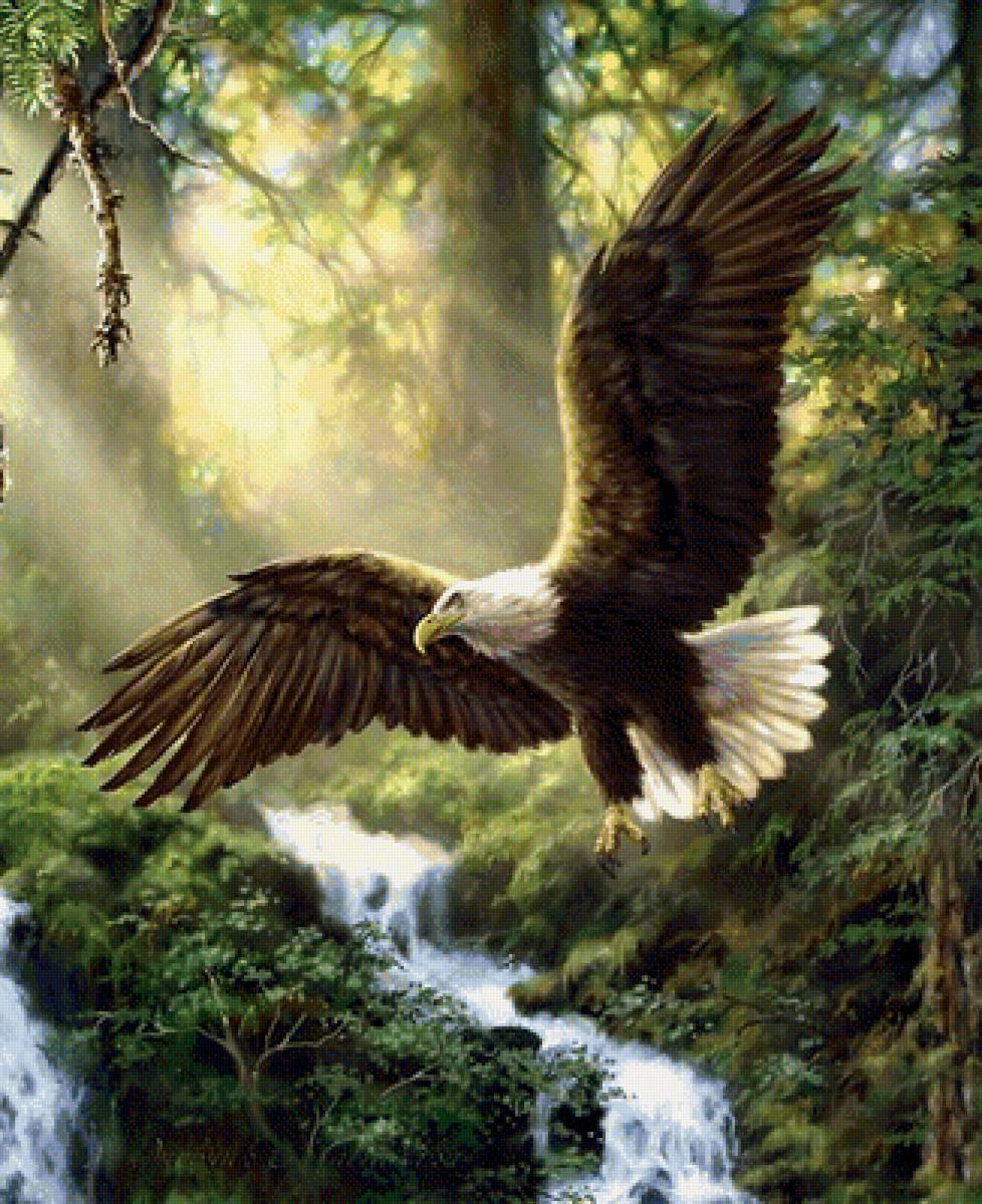 320 - предпросмотр