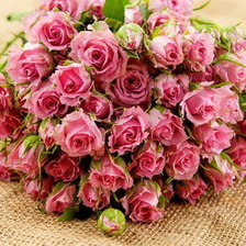 Схема вышивки «Букет роз»