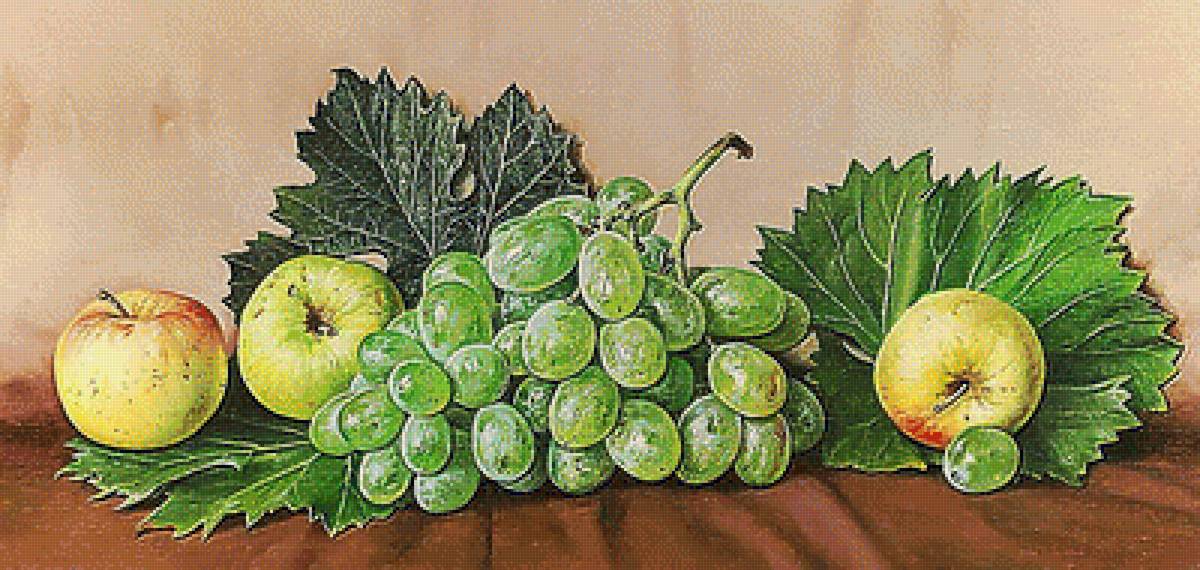Натюрморт. - виноград, яблоки, натюрморт, живопись. - предпросмотр