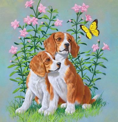 №1719861 - собака - оригинал