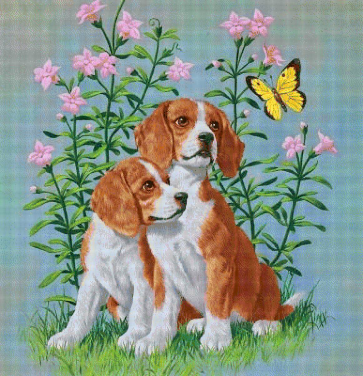 №1719861 - собака - предпросмотр