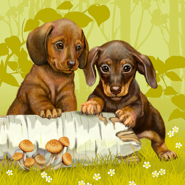 №1719863 - собака - оригинал