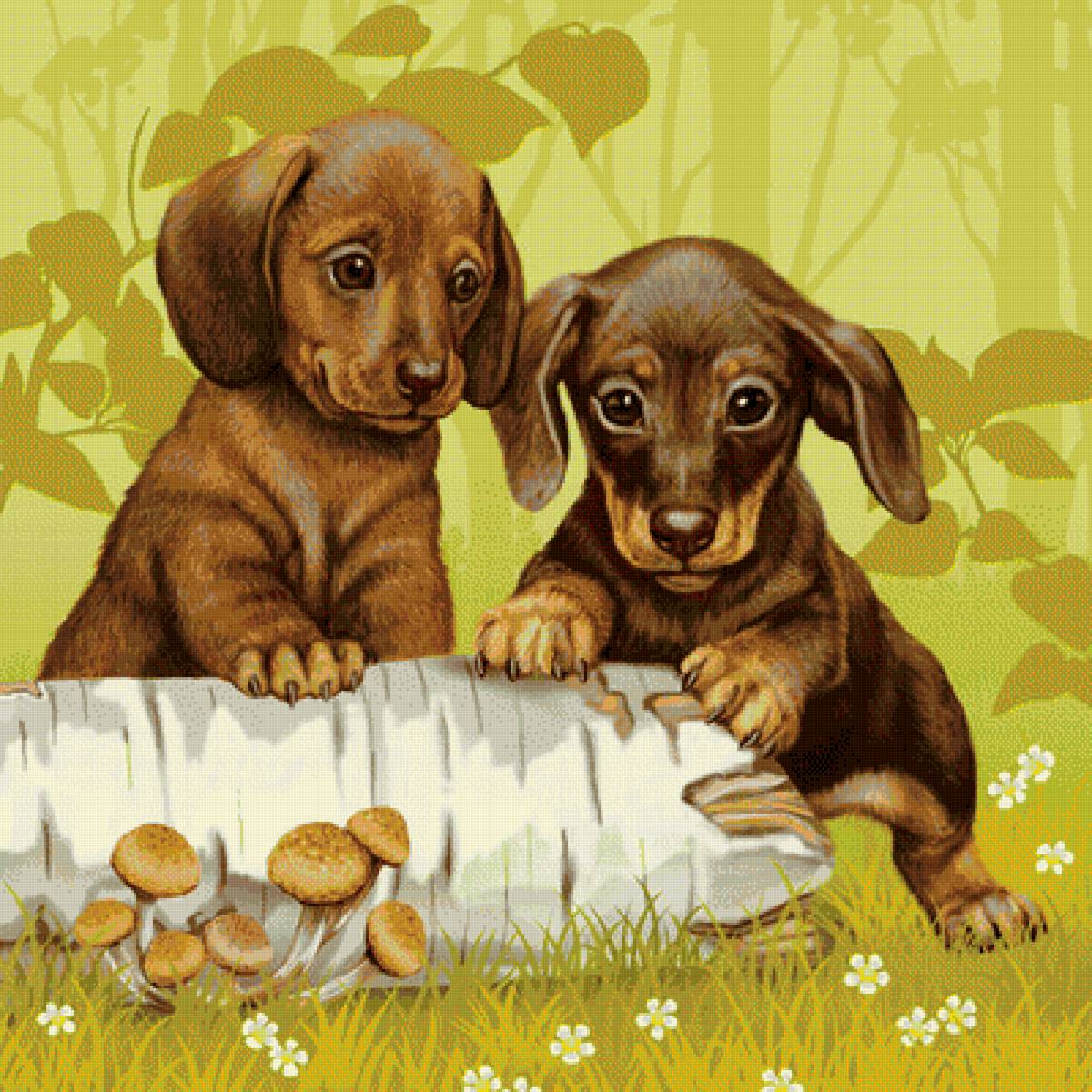 №1719863 - собака - предпросмотр