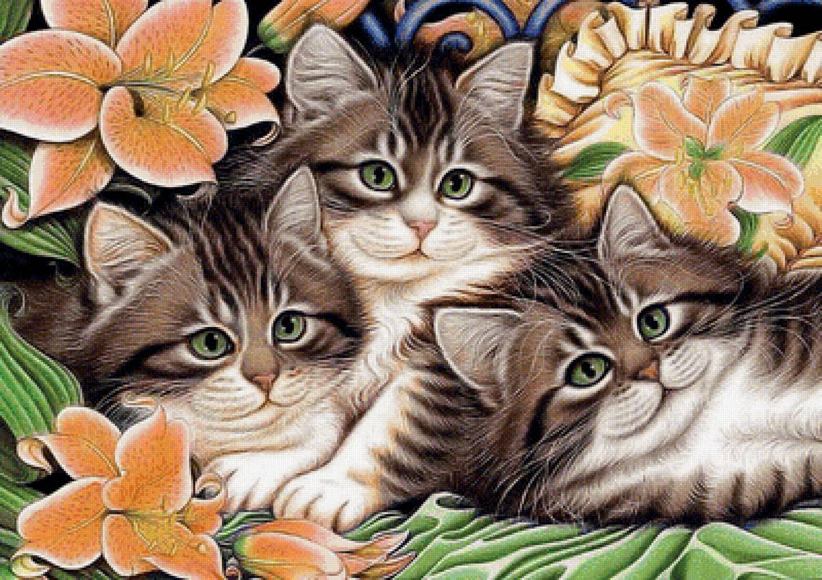 трио - предпросмотр