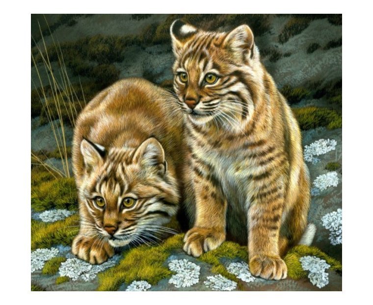 №1720338 - оригинал